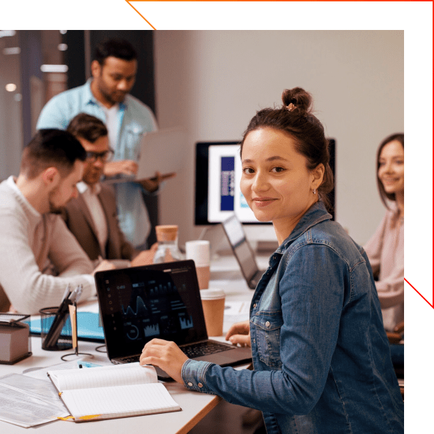 software development