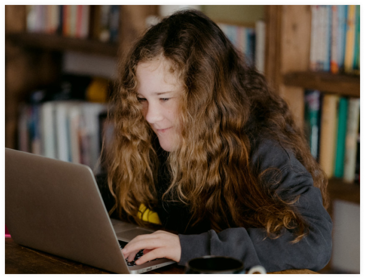 Web Portal Development