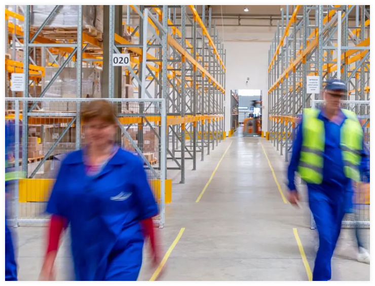 B2B Shopware Development Functionality