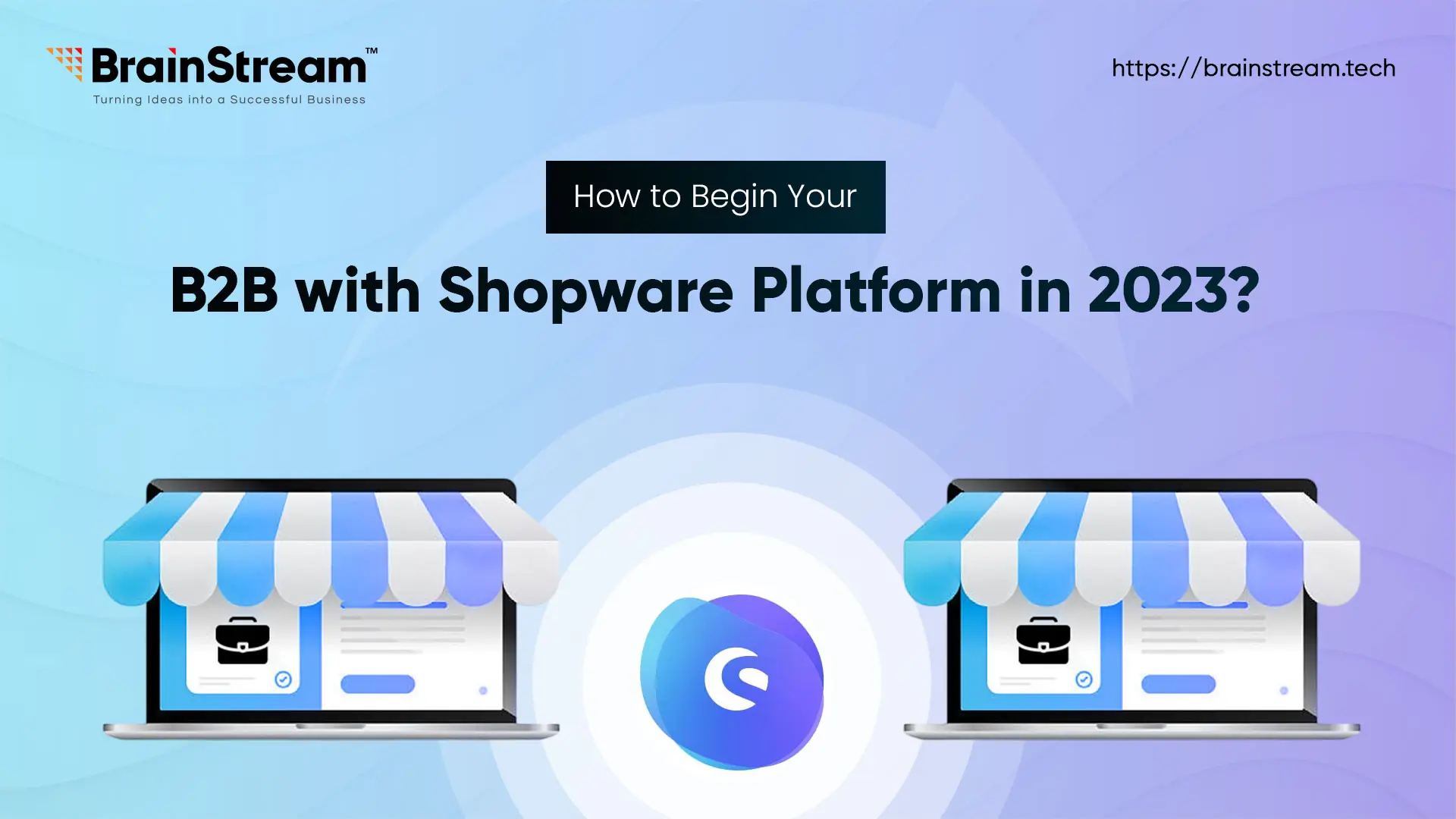 How to Begin Your B2B with Shopware Platform?