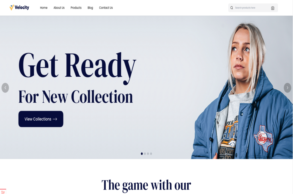 Bagisto ConvertStoreToWeb
